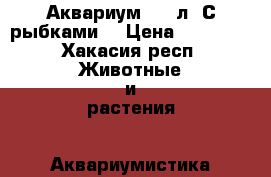 Аквариум 240 л. С рыбками. › Цена ­ 25 000 - Хакасия респ. Животные и растения » Аквариумистика   